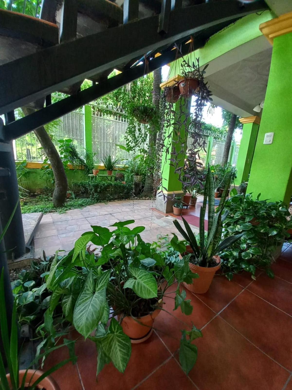 Hostal San Antonio Leon Exterior photo